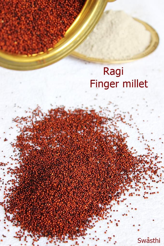 High Calcium Millet for Dairy Feed