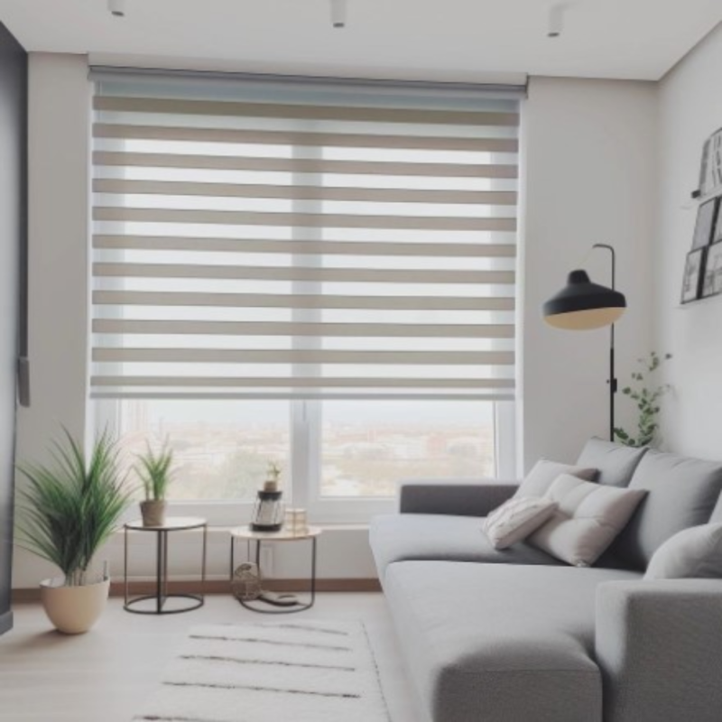 Day & Night / Zebra Blinds (Plain, Texture, Design, Digital, Custom)