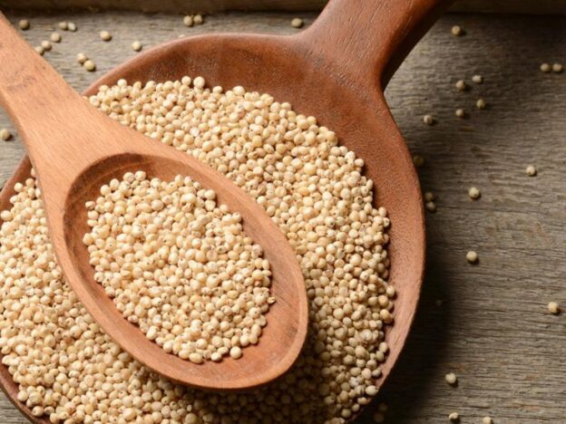 Bulk sorghum export for global animal feed industry