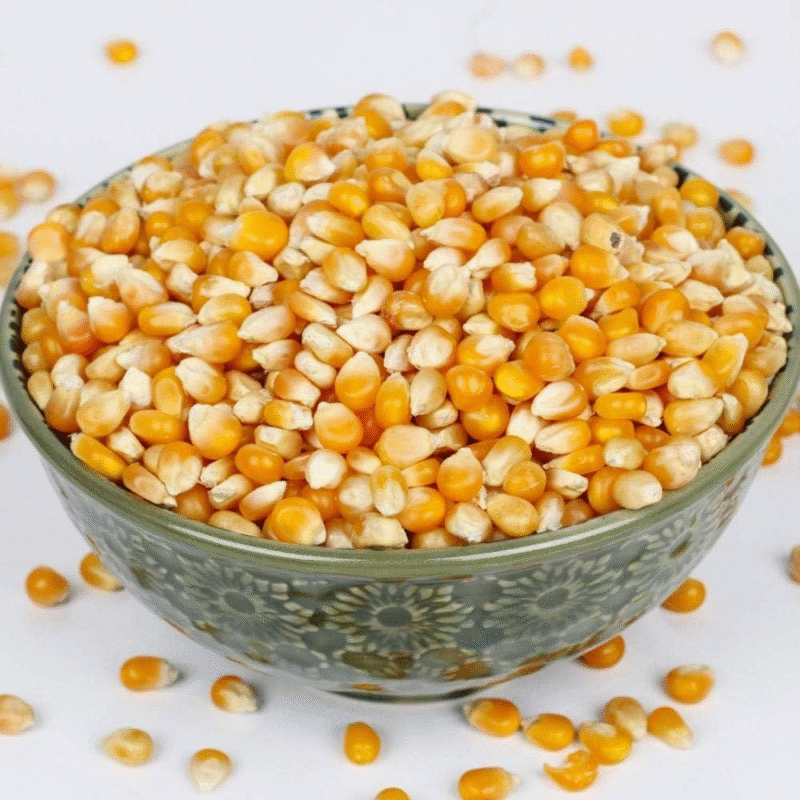Maize