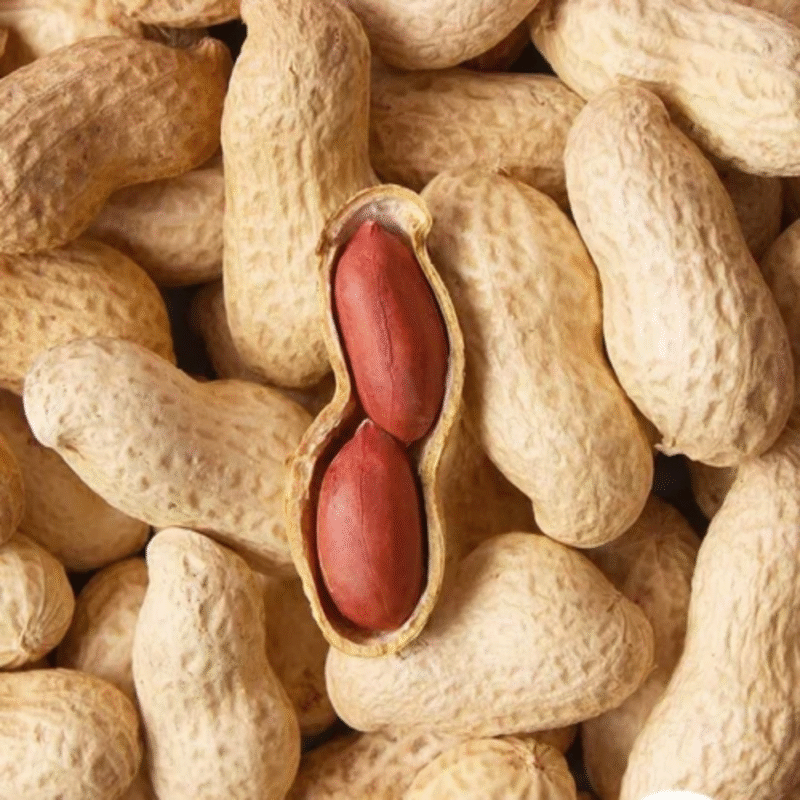 Shelled / Kernel